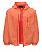 Ветровка с лого на спине, оранжевая Emporio Armani | Фото 2