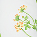 Подушка для беременных и кормления &quot;полевые цветы&quot;, 180 см Dan Maralex | Фото 3