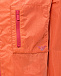 Ветровка с лого на спине, оранжевая Emporio Armani | Фото 4